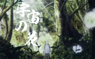 宇宙之花 搜索结果 哔哩哔哩 Bilibili