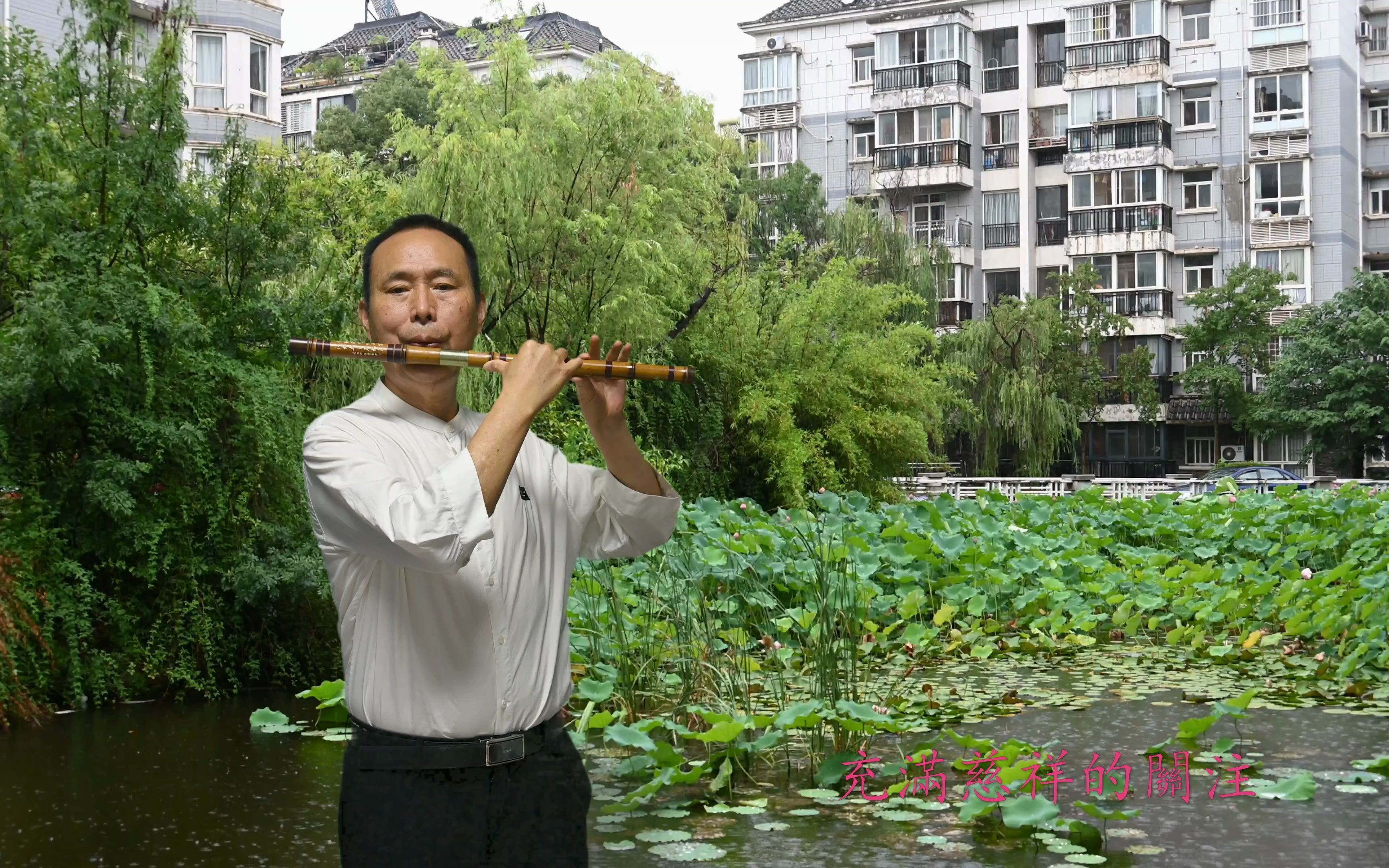 [图]故乡的雨-笛子独奏-琴台乐坊