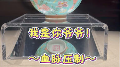 清乾隆款，珐琅彩郎世宁绘十二生肖诗文梅瓶高：58cm宽：36cm_哔