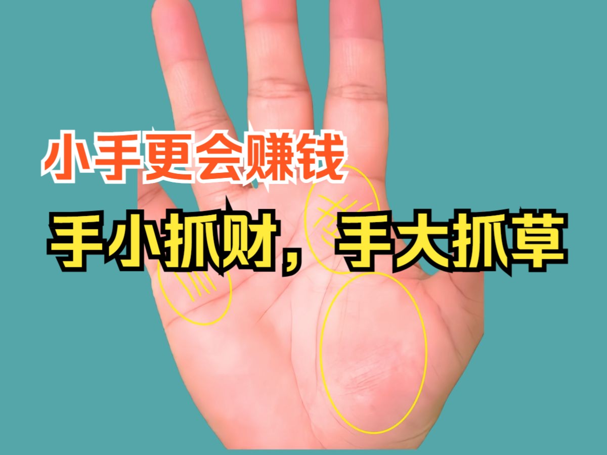 小手更会赚钱吗?