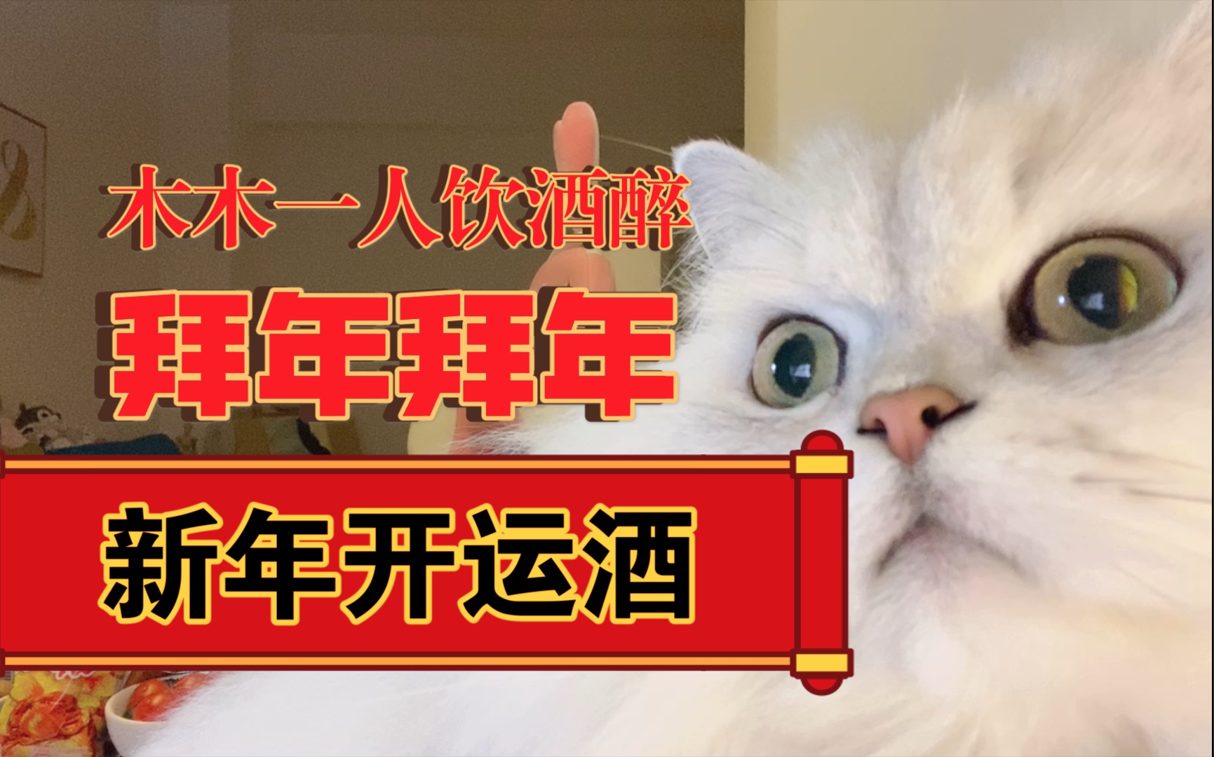 新年开运酒!一个人的独酌好喝小酒!清酒脑洞大开的喝法!