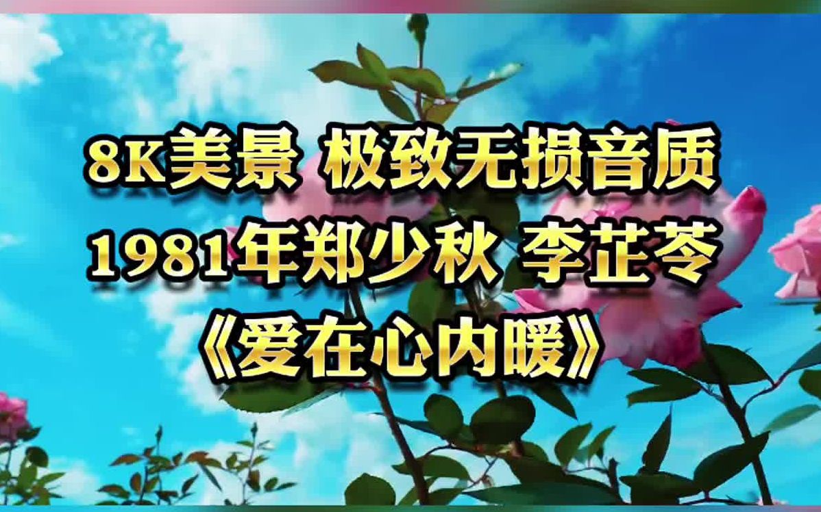 悠长假期 春光明媚 1981年郑少秋 李芷苓《爱在心内暖》哔哩哔哩bilibili