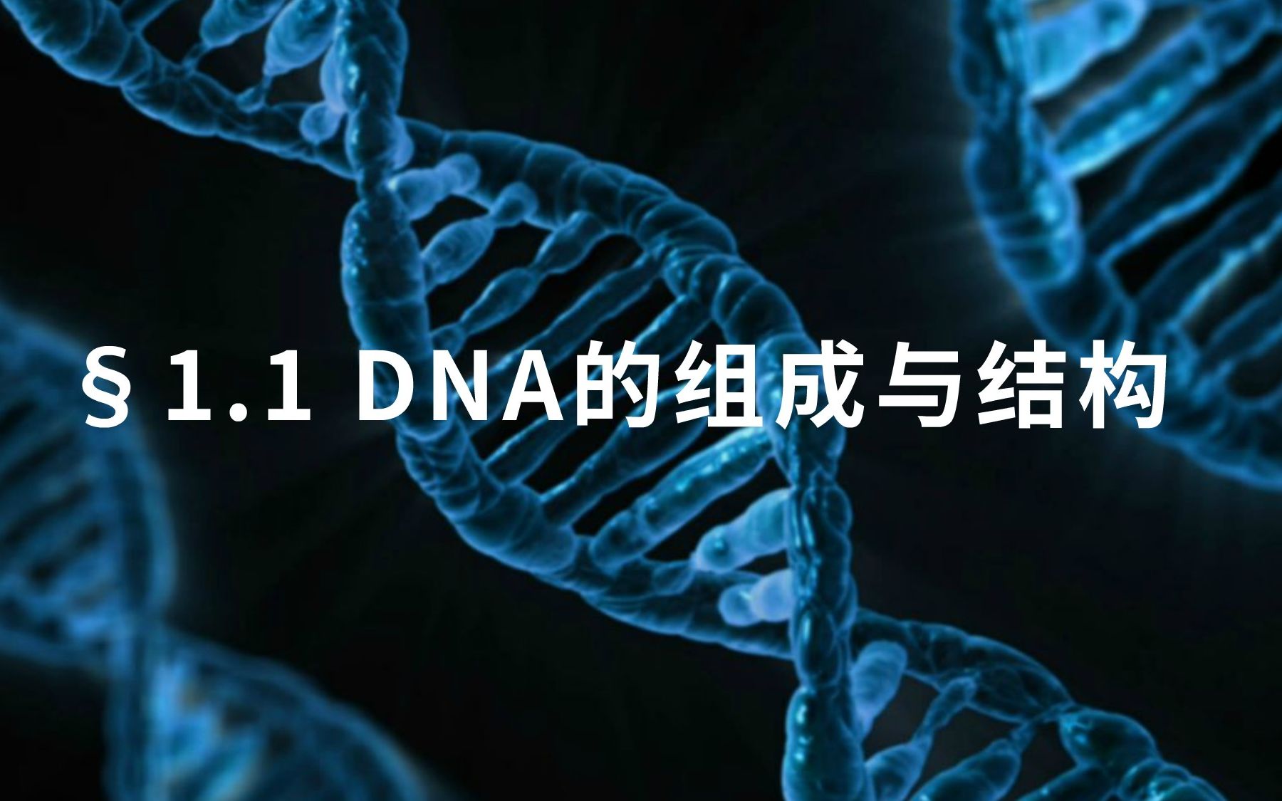 1.1 【微观生物】【基础课】DNA的组成与结构哔哩哔哩bilibili