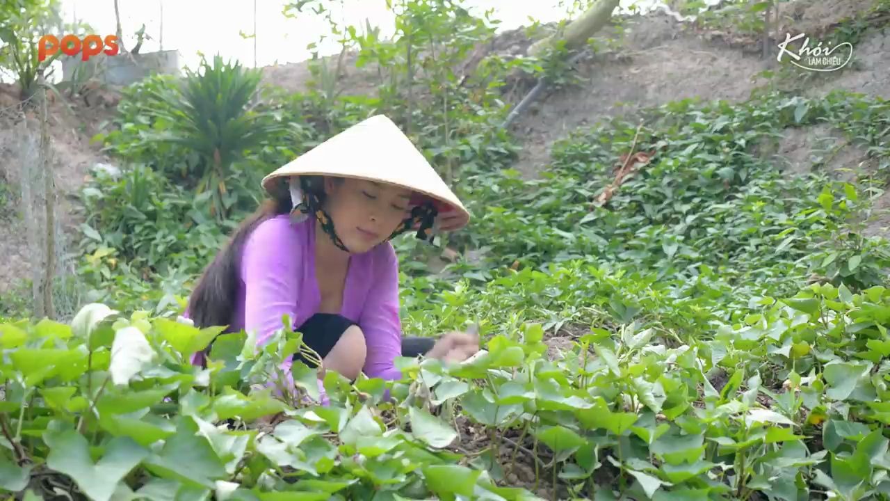 [图]Bánh canh khoai lang xắt, vịt xiêm - Khói Lam Chiều