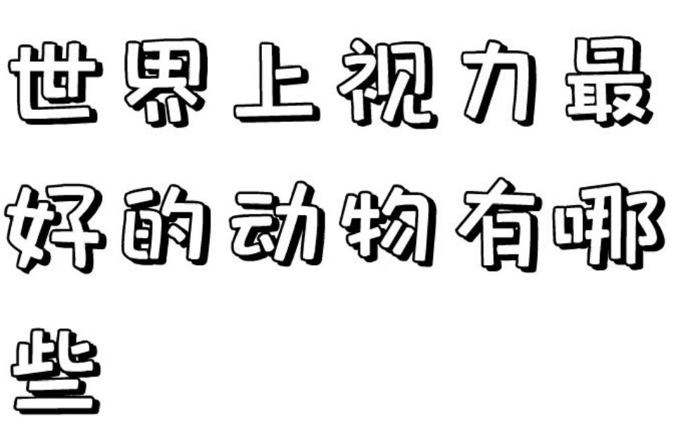 世界上视力最好的动物有哪些哔哩哔哩bilibili