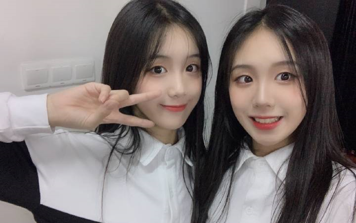 gnz48大小乔大小乔口袋房间视频不定期更新