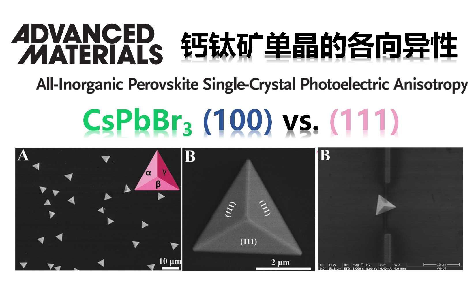 [图]钙钛矿的各向异性：(100) vs. (111) 【Advanced Materials】