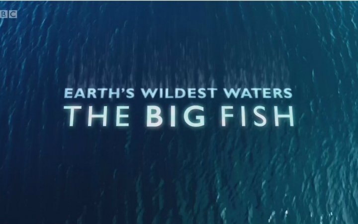 [图]纪录片.BBC.狂野波涛钓大鱼.Earth's.Wildest.Waters.The.Big.Fish.简介[英字]