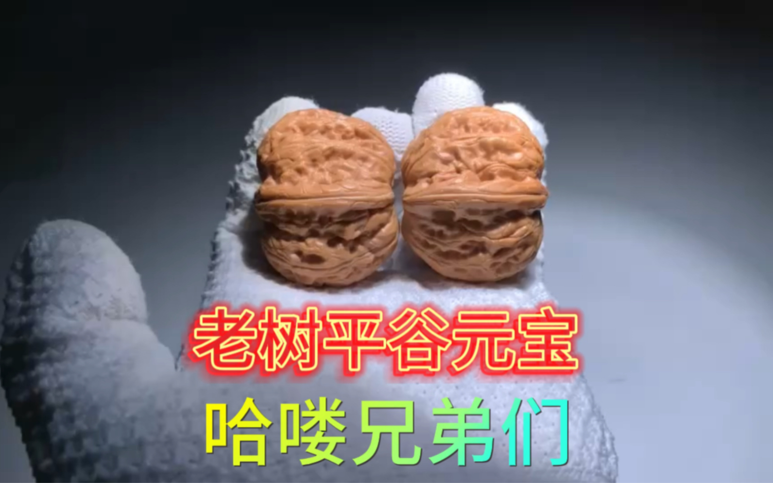 老树红皮平谷元宝