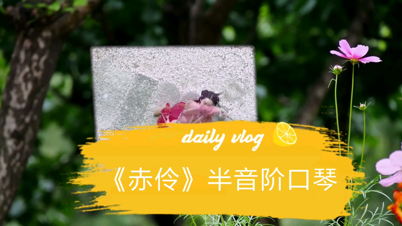 活动  《赤伶》口琴
