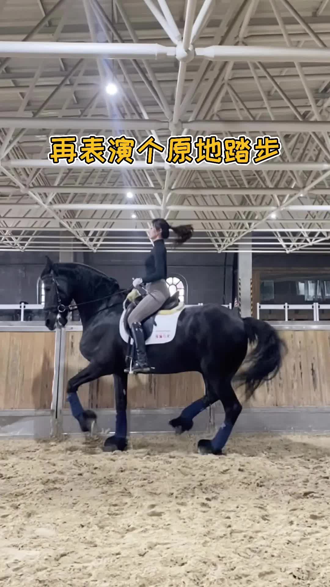 今天带你们见识一下真正的飓风呀哔哩哔哩bilibili