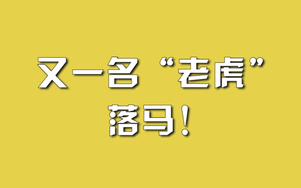 又一名“老虎”落马!哔哩哔哩bilibili