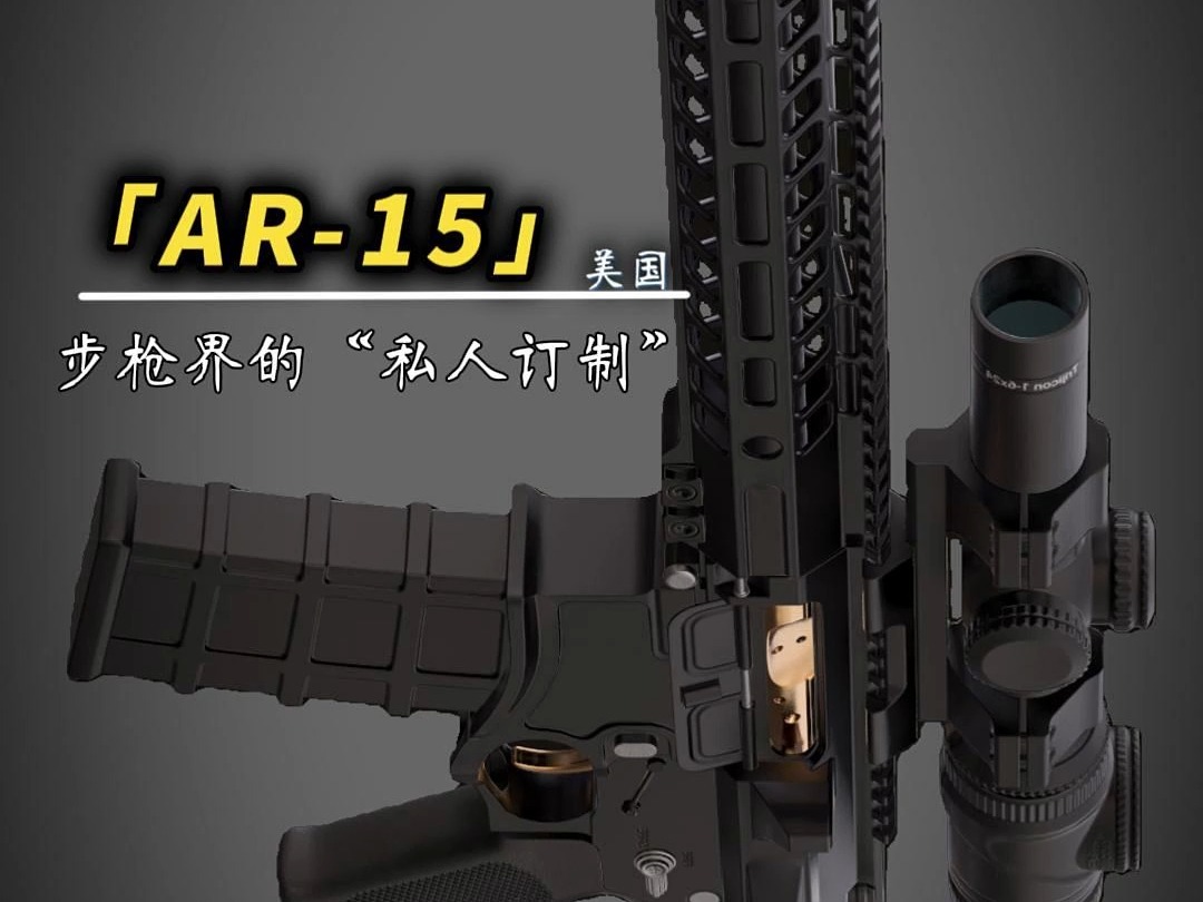 AR15:步枪界的“私人订制”哔哩哔哩bilibili