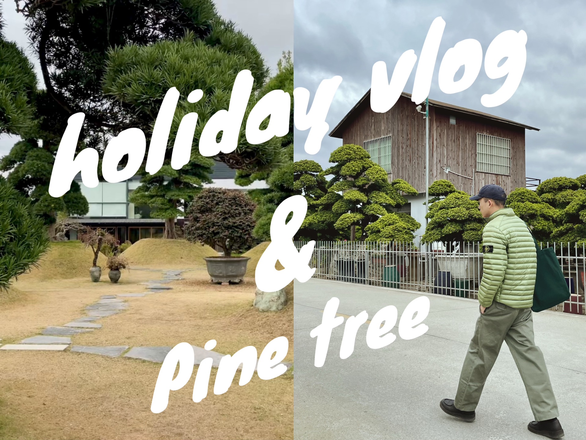 假日生活vlog|咖啡探店松屿|植物 绿植 松树 |假日穿搭ootd |stone island levis APC|outfit fitcheck哔哩哔哩bilibili