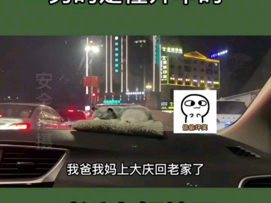 不说别的,这哥们指定是个好人,打败中国90%哔哩哔哩bilibili