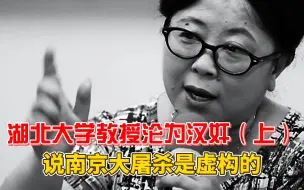 Descargar video: 湖北大学教授跪舔日本，多次否认南京大屠杀，为侵华日军洗白！