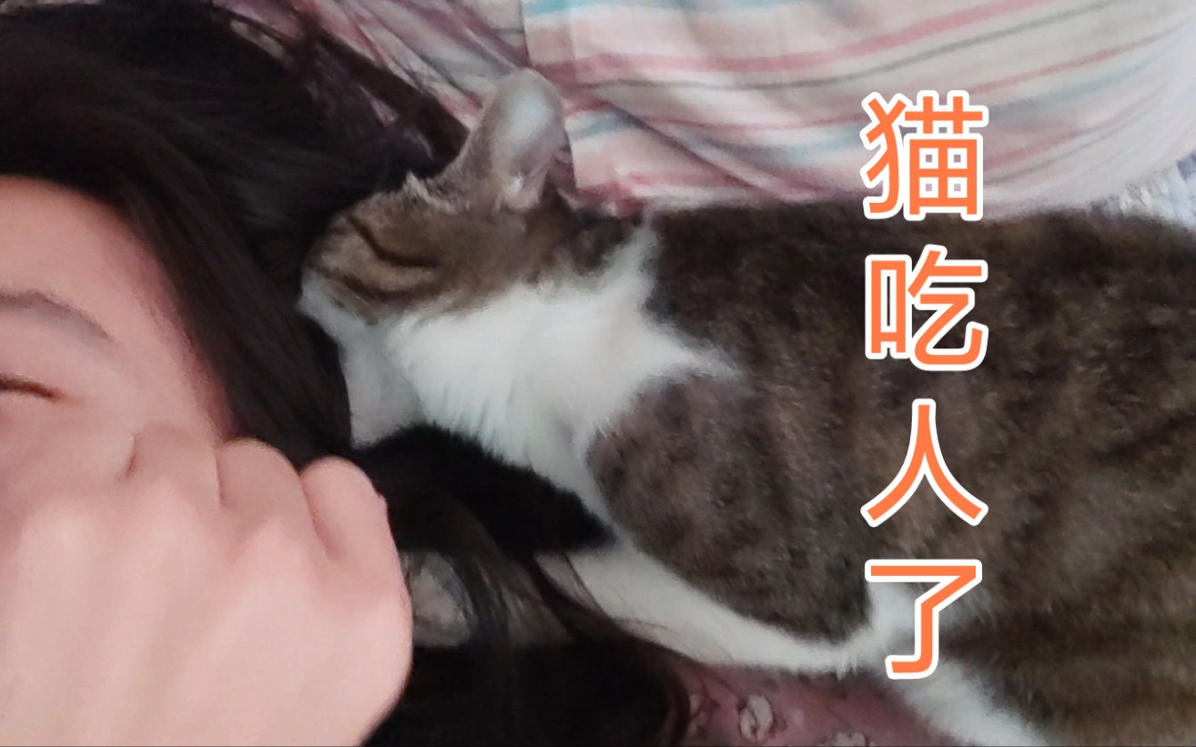 救命啊!猫妖吃人脑瓜子了