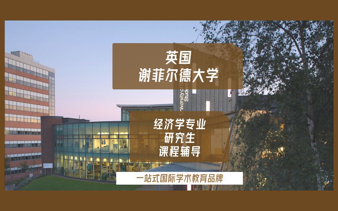 英国留学|英国谢菲尔德大学经济学专业研究生留学生课程辅导|课程预习|课程补习哔哩哔哩bilibili