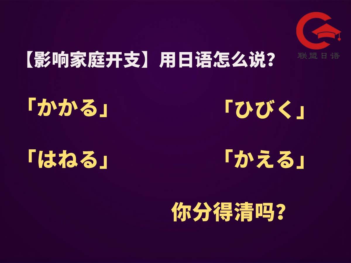 “影响家庭开支”用日语怎么说?哔哩哔哩bilibili