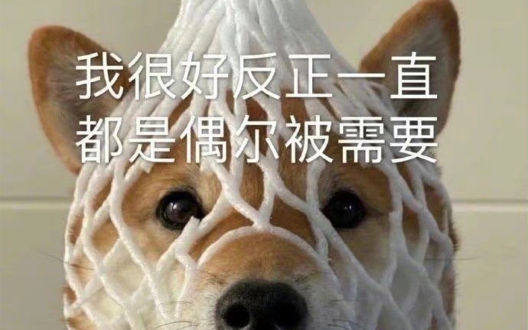 记录下自己网易云听歌排行太杂了这些年听得风格太杂了