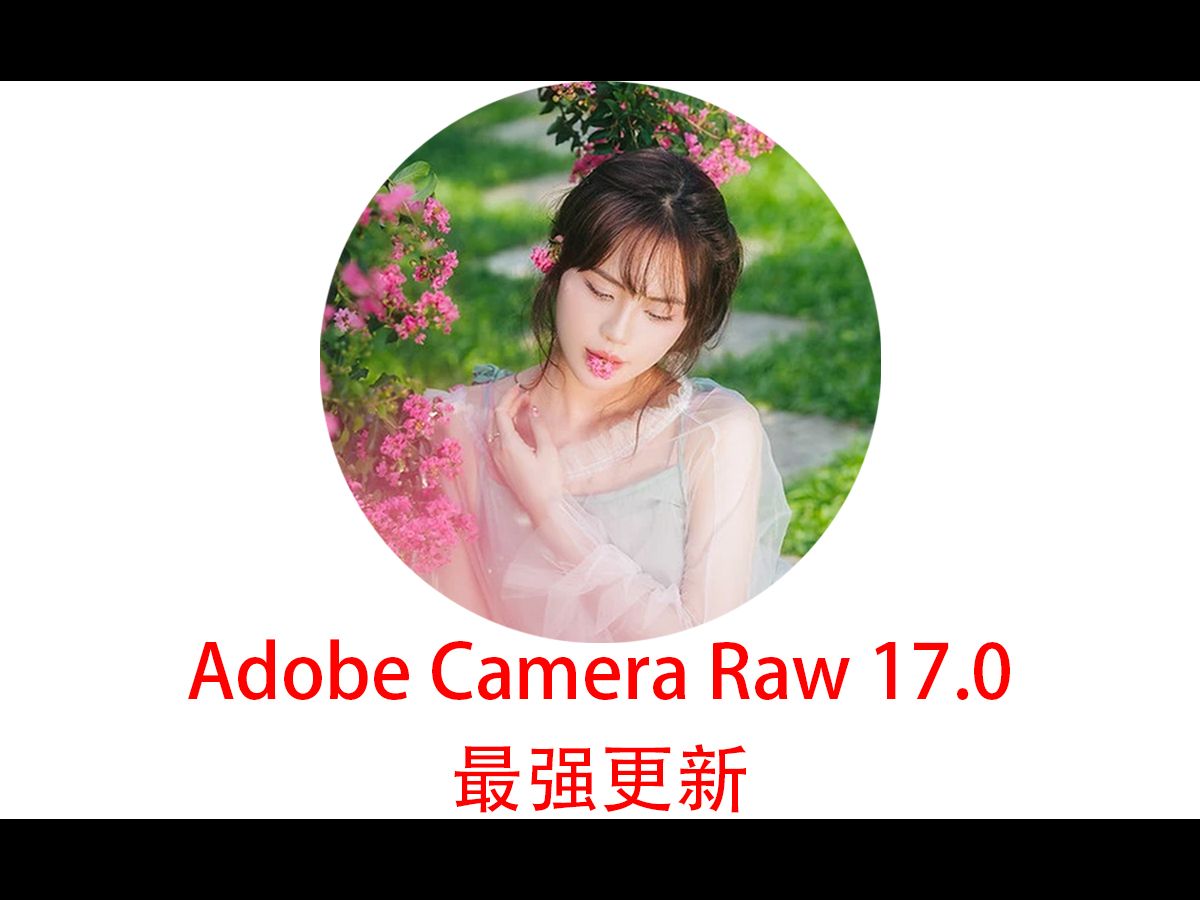 【Ai配置文件】Adobe Camera Raw 17.0 重要更新(附公开下载链接)哔哩哔哩bilibili