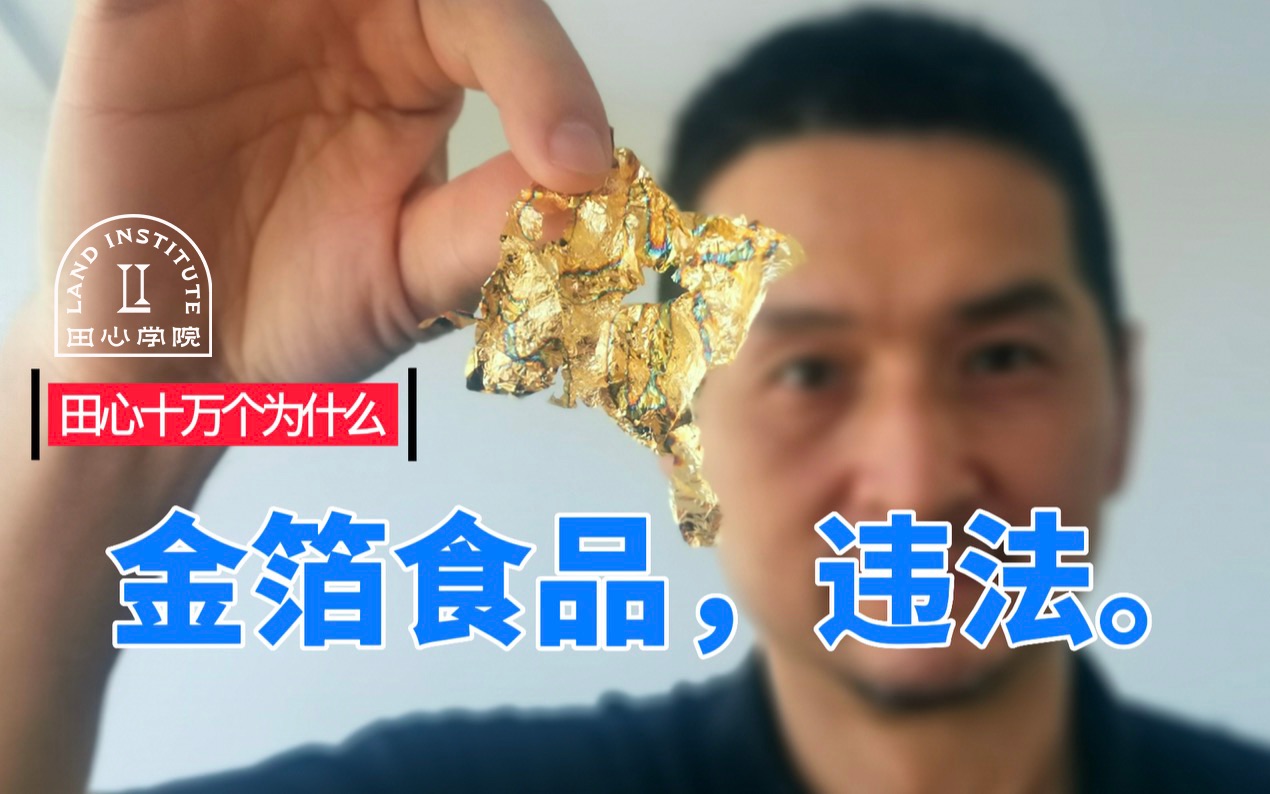 四部委联合封杀的“金箔食品”到底是什么鬼?哔哩哔哩bilibili