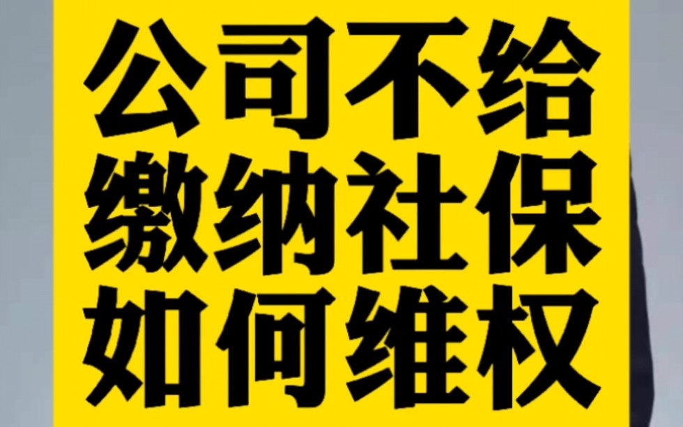 公司不给缴纳社保如何维权哔哩哔哩bilibili