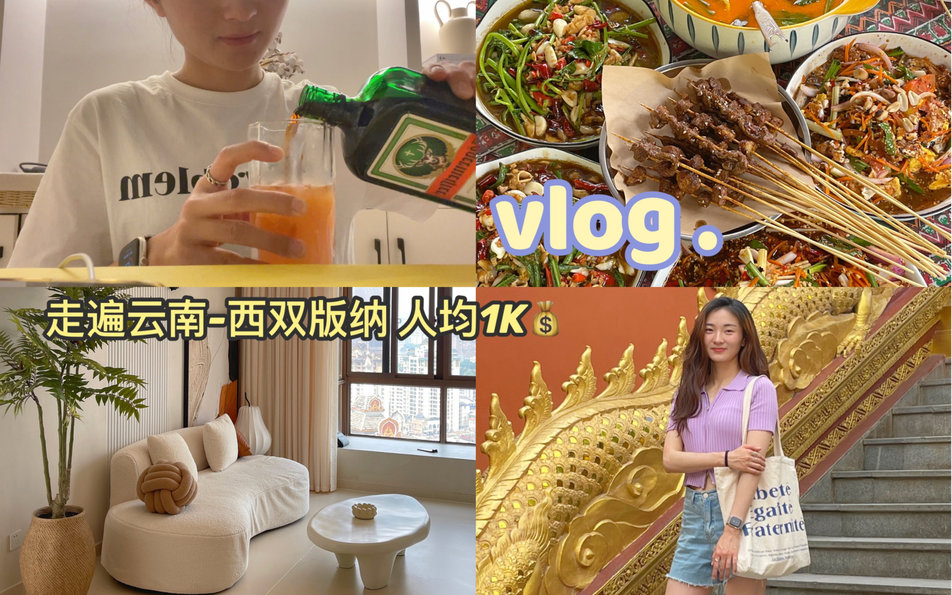 西双版纳vlog | 记录会让快乐放大100倍! | 一些吃 喝 住的分享,人均1k | 版纳攻略 | 你对西双版纳的形容是什么呢? | 3天2夜旅游杂记哔哩哔哩bilibili