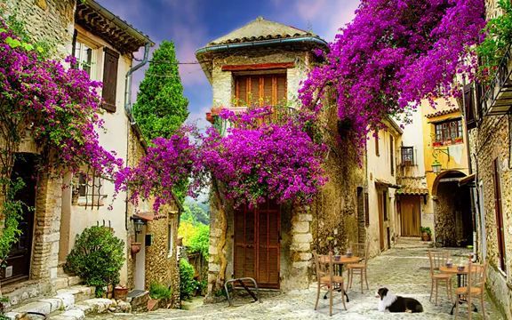 [图]Italian Morning Coffee Shop Ambience with Bossa Nova Jazz Music For Relax Cafe