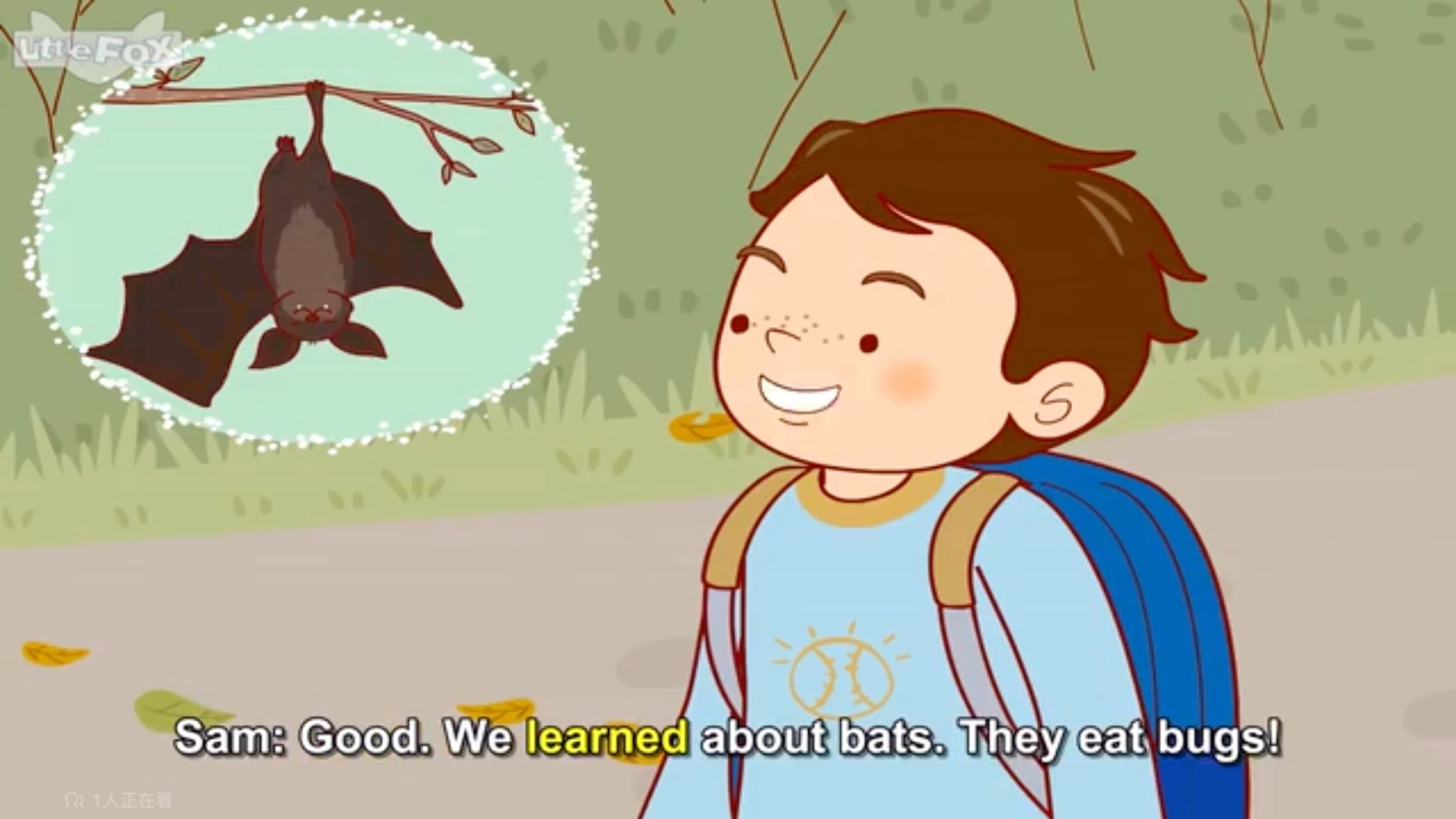 we learned about bats. they eat bugs!