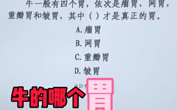 【2023国考】牛有四个胃,哪个胃才是真正的胃呢哔哩哔哩bilibili