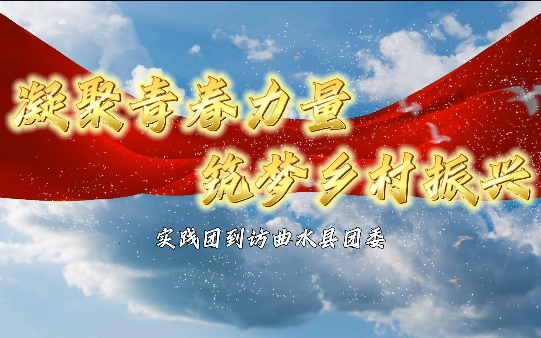 凝聚青春力量,筑梦乡村振兴 | 北京信息科技大学实践团到访拉萨市曲水县团委哔哩哔哩bilibili