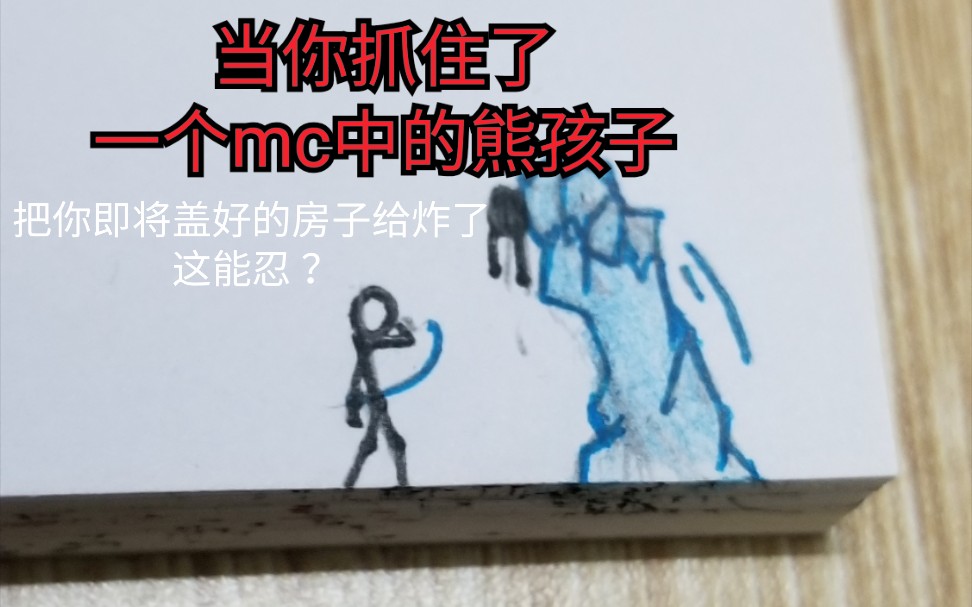 [图]当你抓住了一个，mc炸房的熊孩子你会怎么做？