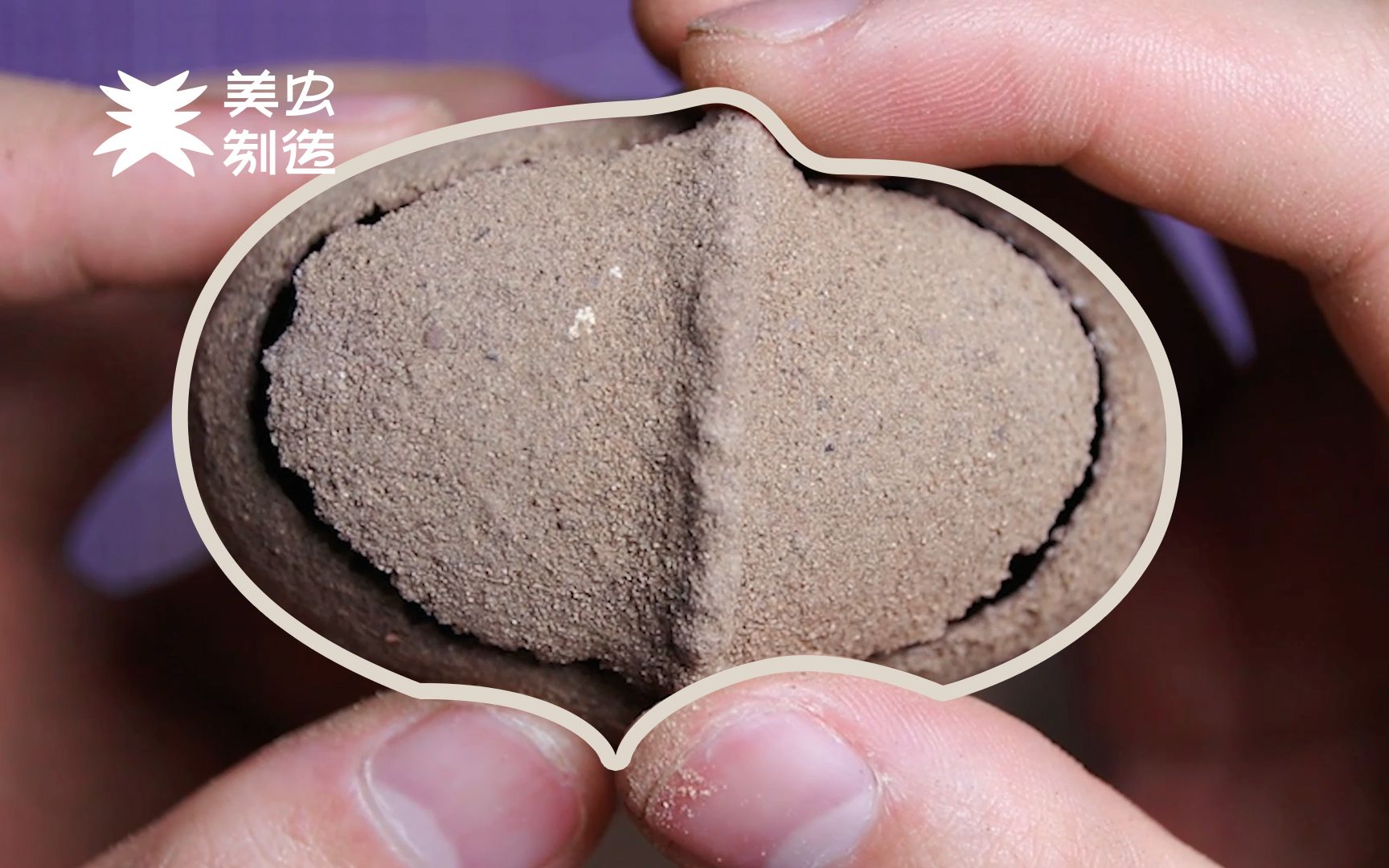 藏身神秘土蛋里的美丽甲虫,一起来体验开蛋的乐趣吧【美虫制造丨饲养