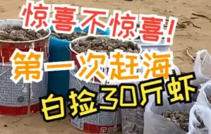 Download Video: 女生第一次赶海惊喜发现满地泸沽虾 捡都捡不完 带30斤回家