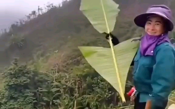 [图]自制飞行器（芭蕉叶版） 飞起来的那一刻好美