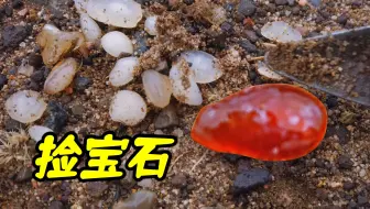 难道宝石会下蛋吗？这一窝一窝的，看我捡了多少