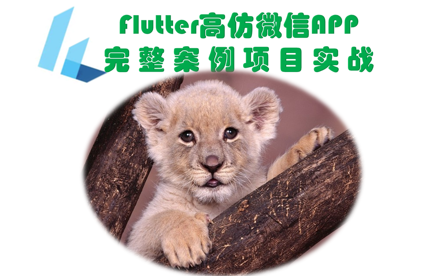 Flutter高仿微信APP完整案例项目实战哔哩哔哩bilibili