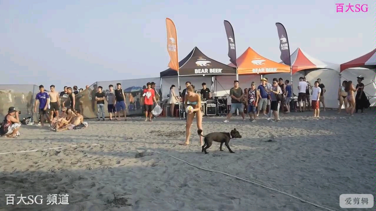 比基尼沙滩排球音乐节
