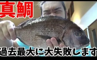 真鯛鱼 搜索结果 哔哩哔哩 Bilibili