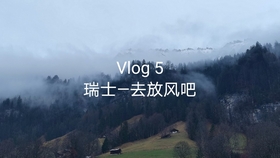 瑞士洛桑aligro超市 哔哩哔哩 つロ干杯 Bilibili