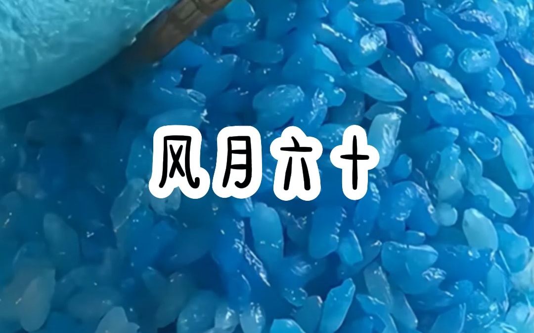 风月六十哔哩哔哩bilibili