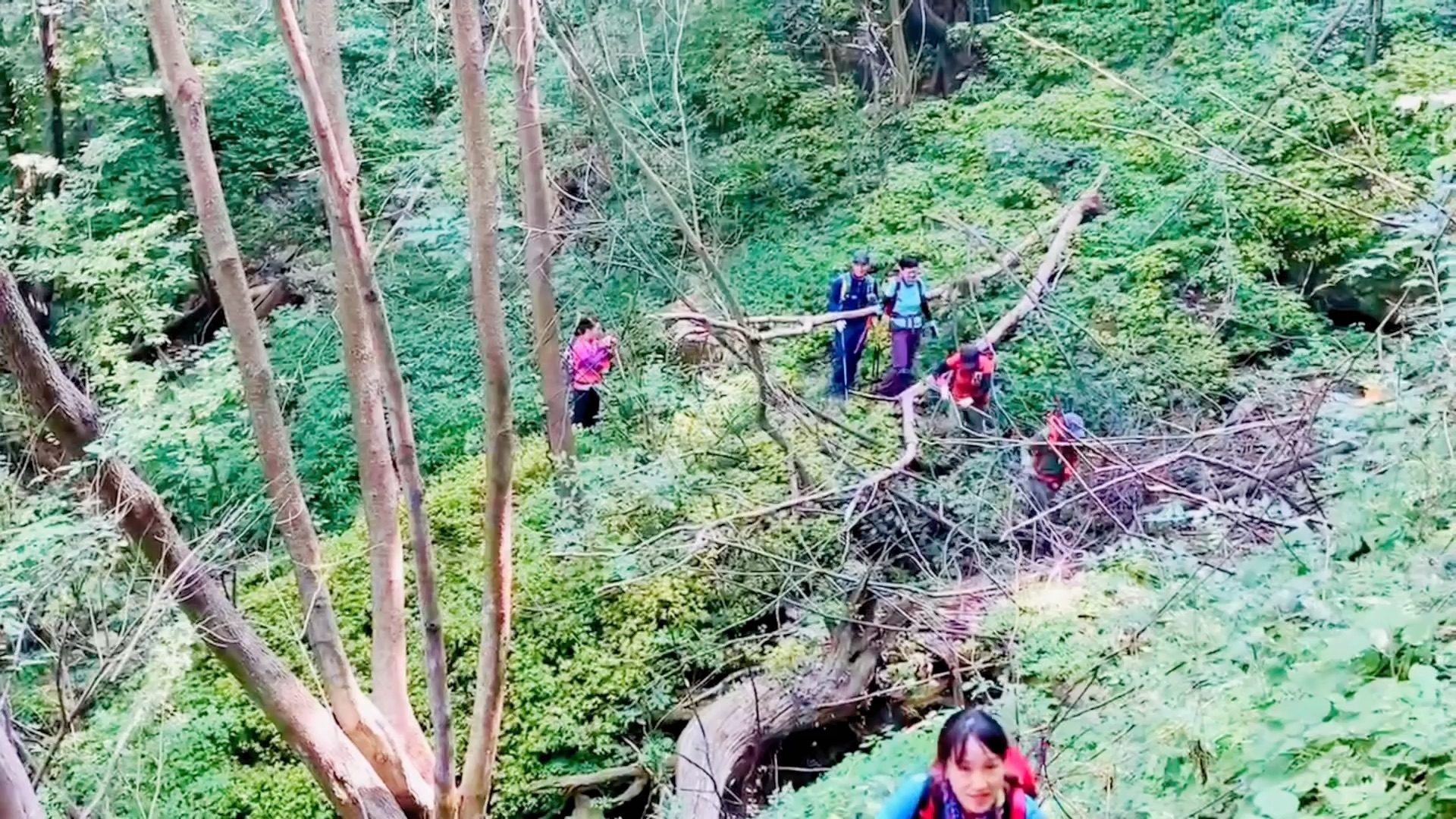 竹山县沧浪山哔哩哔哩bilibili