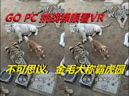 Download Video: 【裸眼VR】巨幕观影只需一款软件