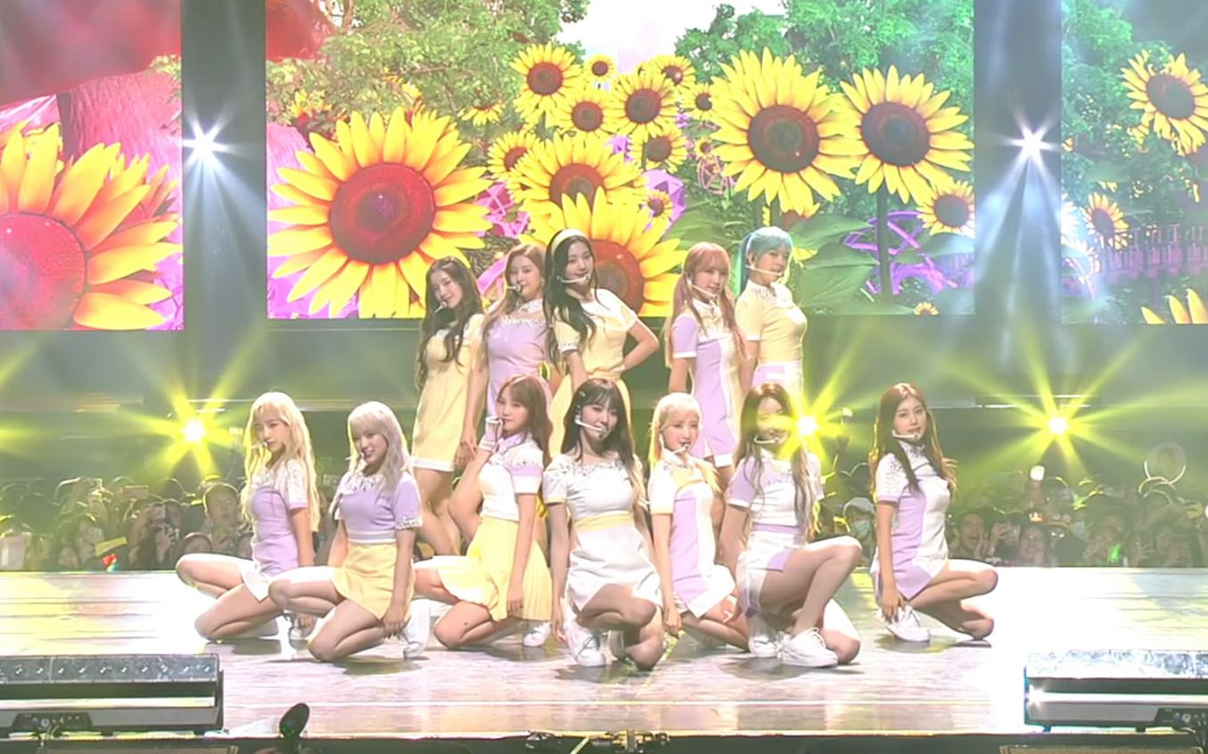 IZ*ONE 「向日葵(Sunflower)」 官方舞台合集 (持更至KCON 2019 THAILAND)哔哩哔哩bilibili