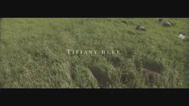 TIFFANY BLUE-哔哩哔哩_Bilibili