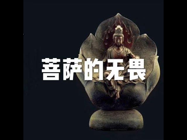 菩萨的无畏 圆顿教 没人情 有疑不决直须争