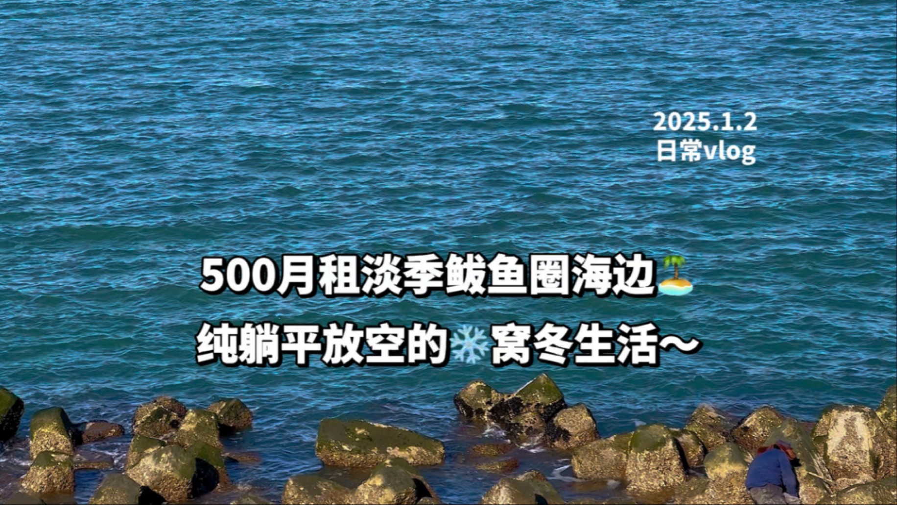 房租500躺平淡季鲅鱼圈|出门就是海哔哩哔哩bilibili