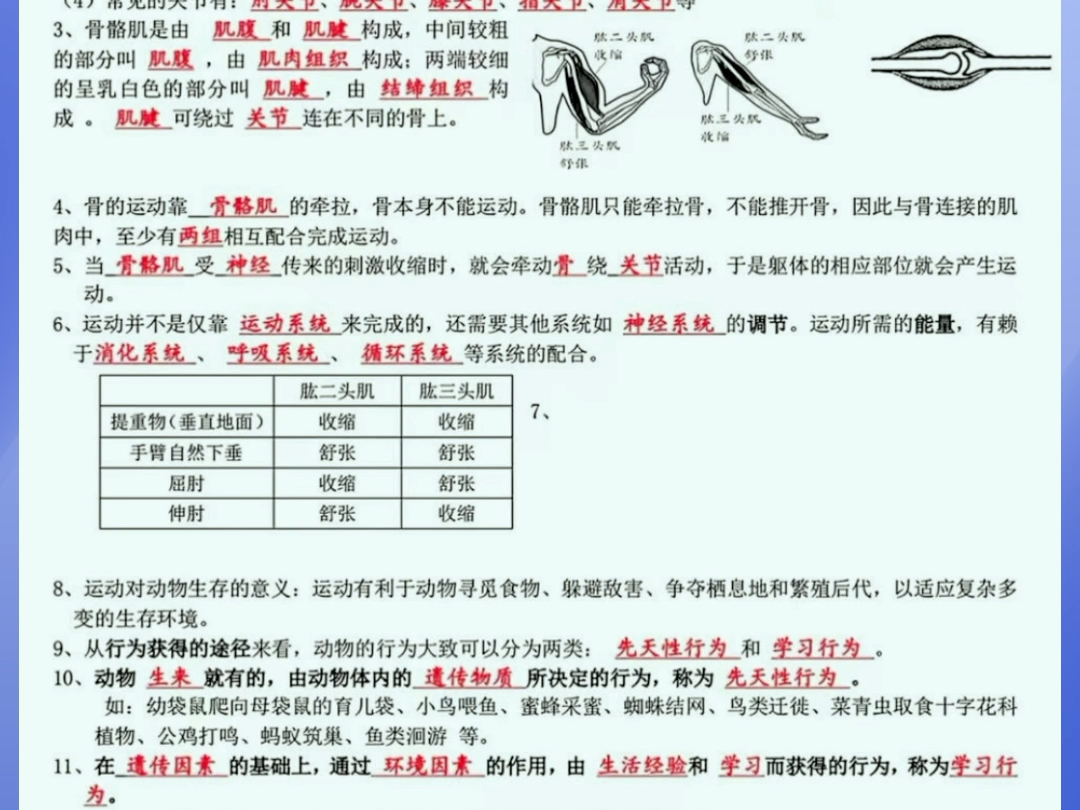 这份八上生物全册的知识清单,是按照中考的命题角度整理出来的,帮助同学们梳理出整个八上生物的重点知识.并且每道题都附有答案,可以随时检验自...