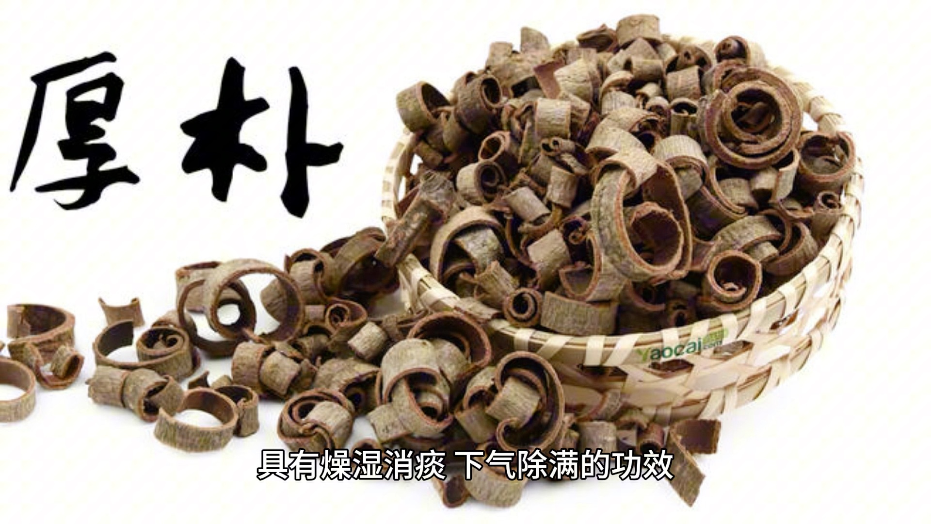 黄莲厚朴 B站